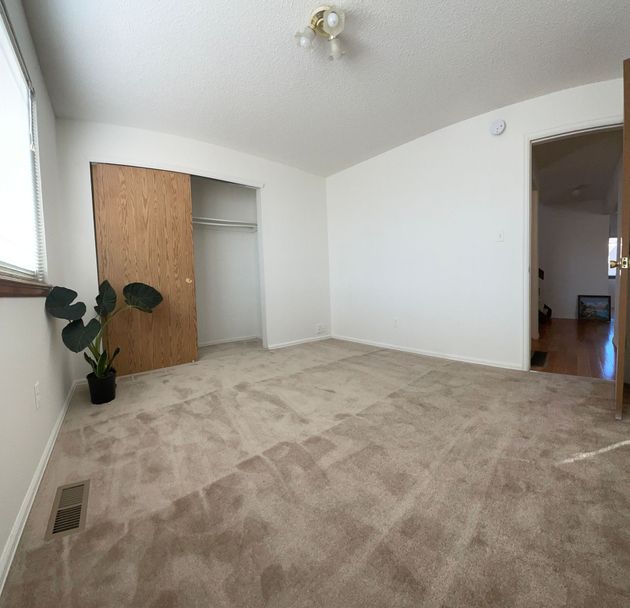 An empty bedroom with a plant and a closet