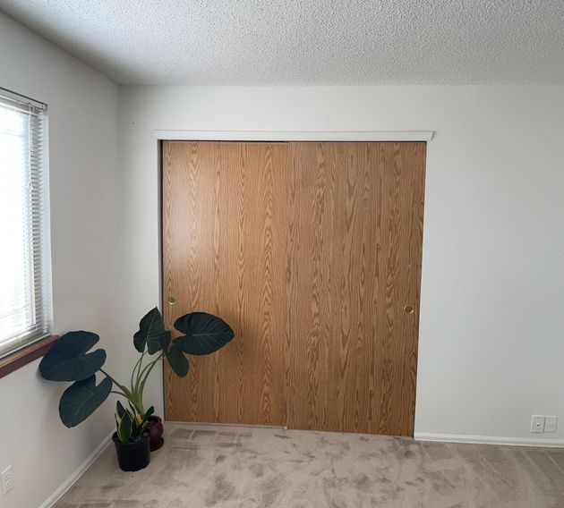 An empty room with a plant in front of a wooden door