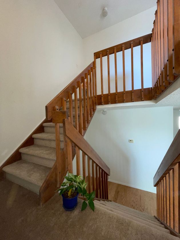 A staircase with a wooden railing and a blue potted plant