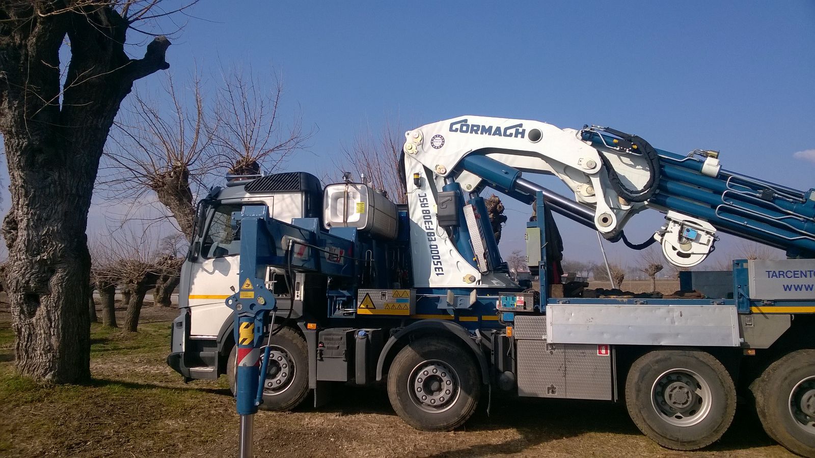Camion con gru per trasporti