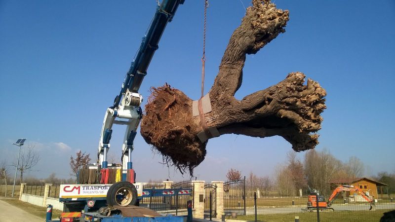 Gru per lavori di giardinaggio