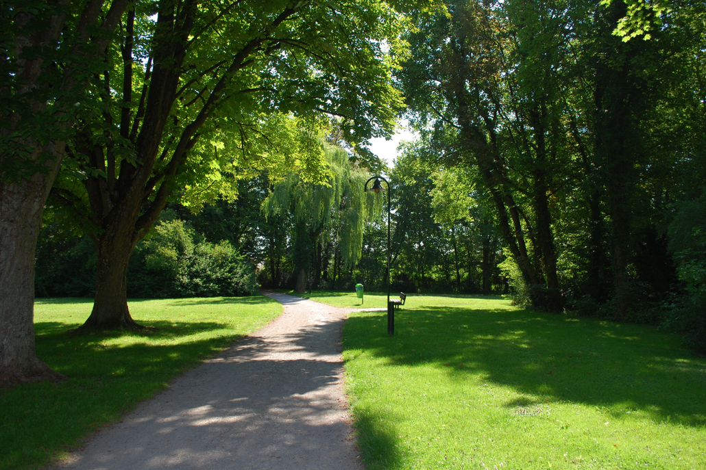 A dirt path in a park with trees on both sides