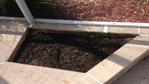 Raised planter bed with dark soil, surrounded by concrete and part of a screened enclosure.