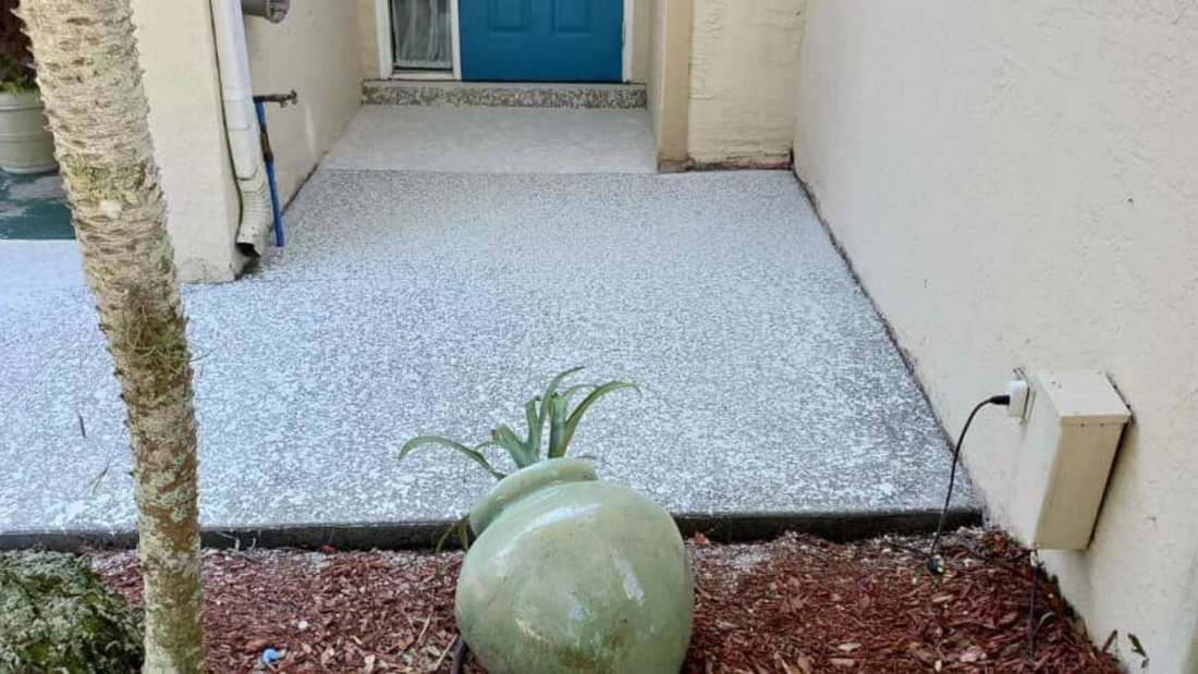 Gray speckled concrete patio leading to a blue door. A green pot sits near a tree trunk.