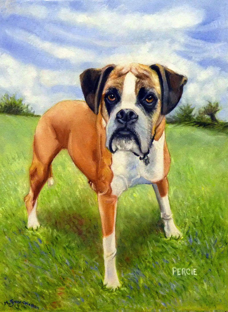 Animal gallery image
