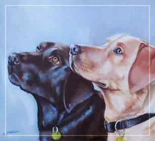 black and brown dog portrait