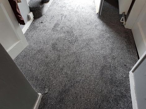 Carpets, Selsey, West Sussex