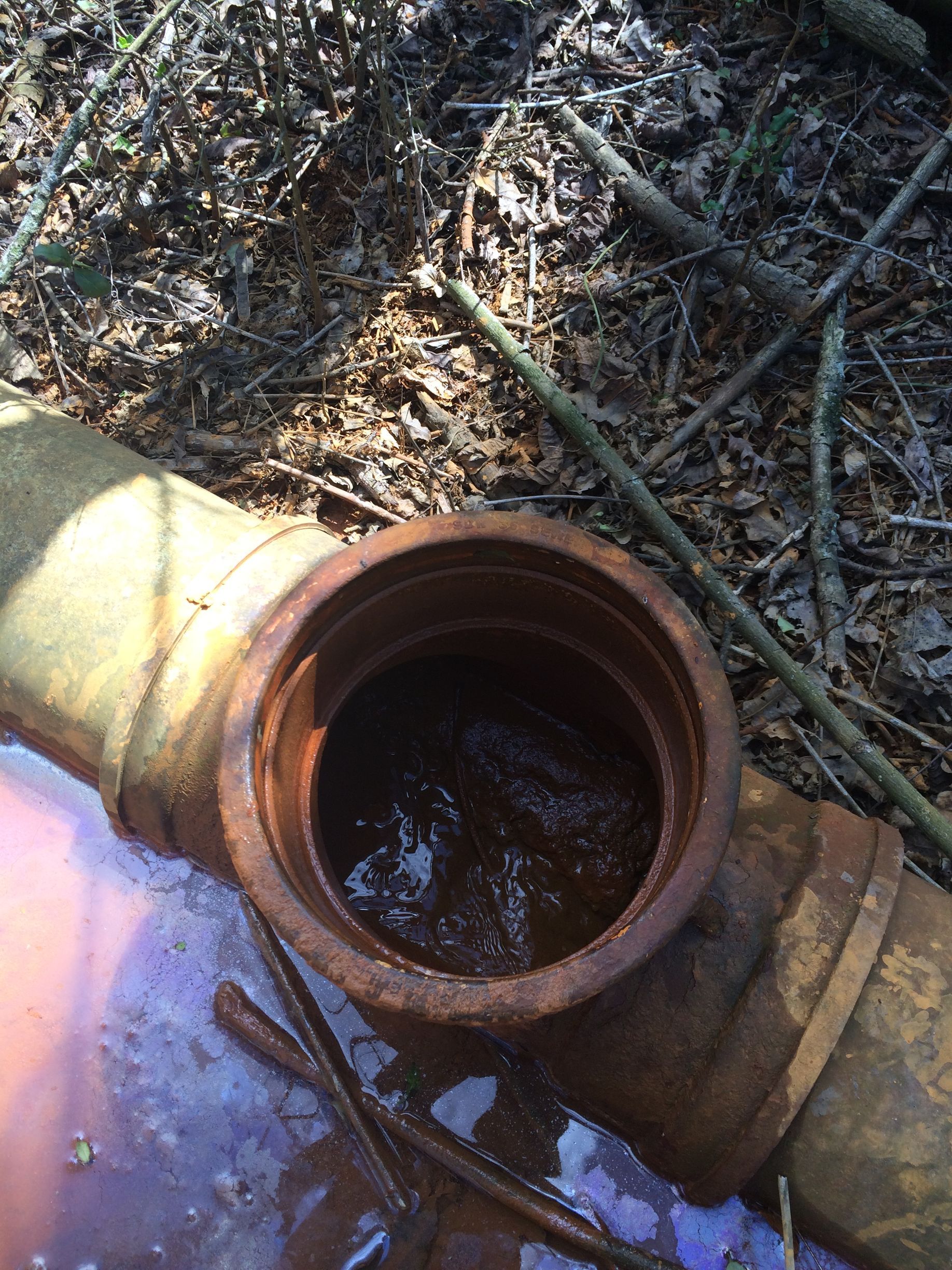 Open rusty pipe fitting filled with dark liquid in a wooded area.