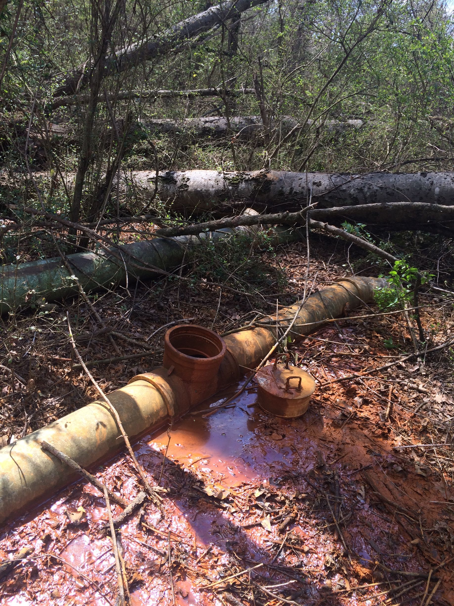 Corroded pipes with two open ports sit in reddish mud in a wooded area. Fallen trees in the background.