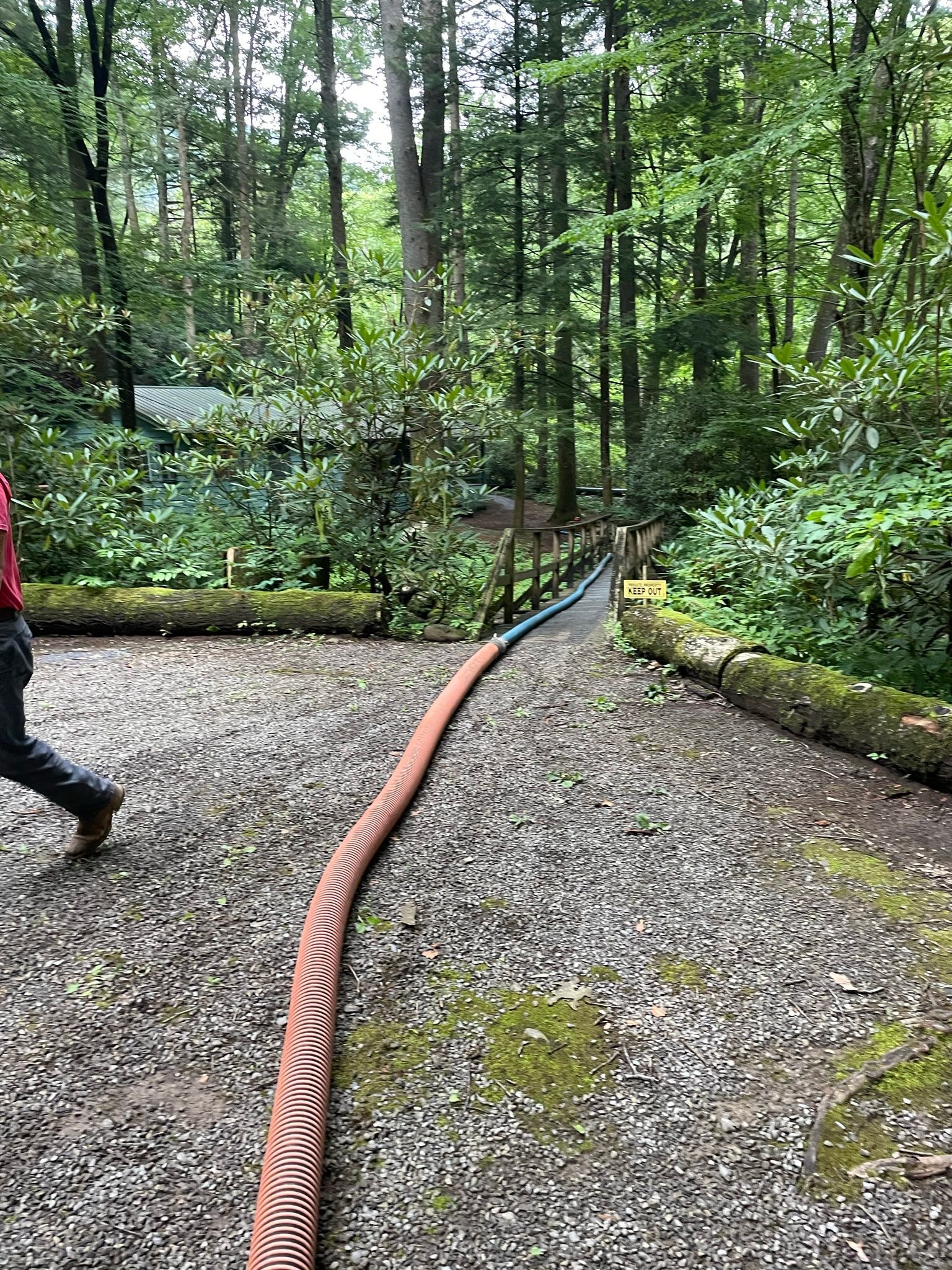 A person walks past a water hose laid over gravel path, leading into wooded area.