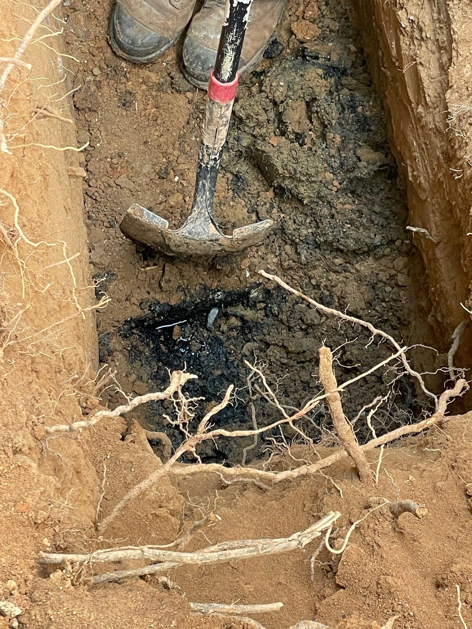 Shovel in a hole exposing black soil, roots, and brown dirt.