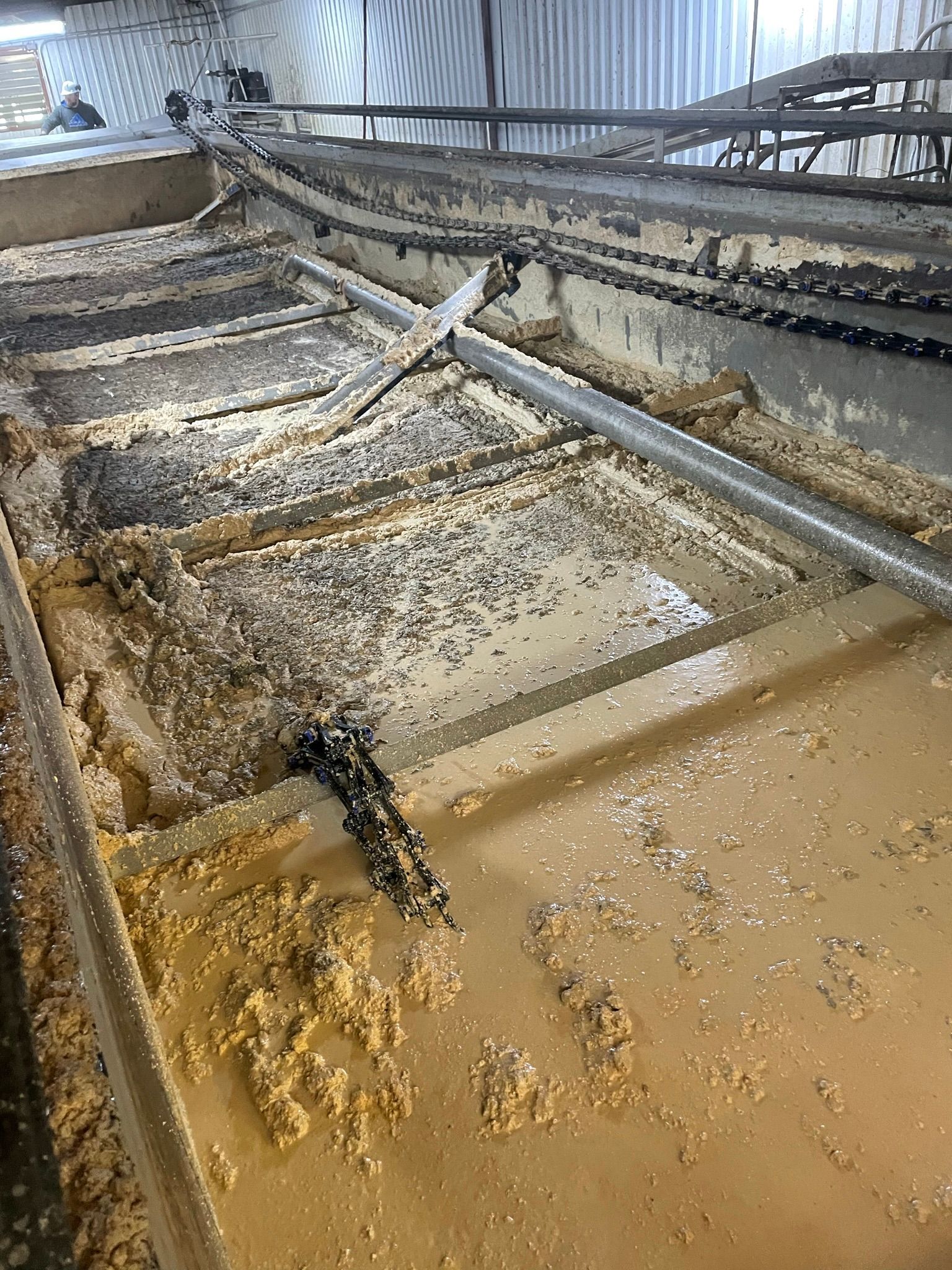 A wastewater treatment tank filled with sludge and debris, featuring metal structures.