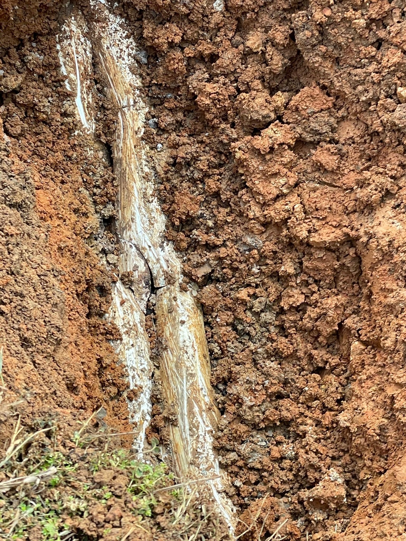 Brown soil trench with a white, crystallized substance.