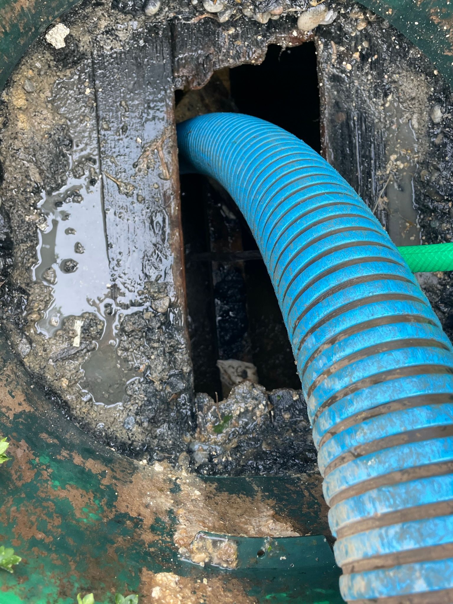 Blue hose inserted into a dark, open septic tank, with visible debris and liquid.