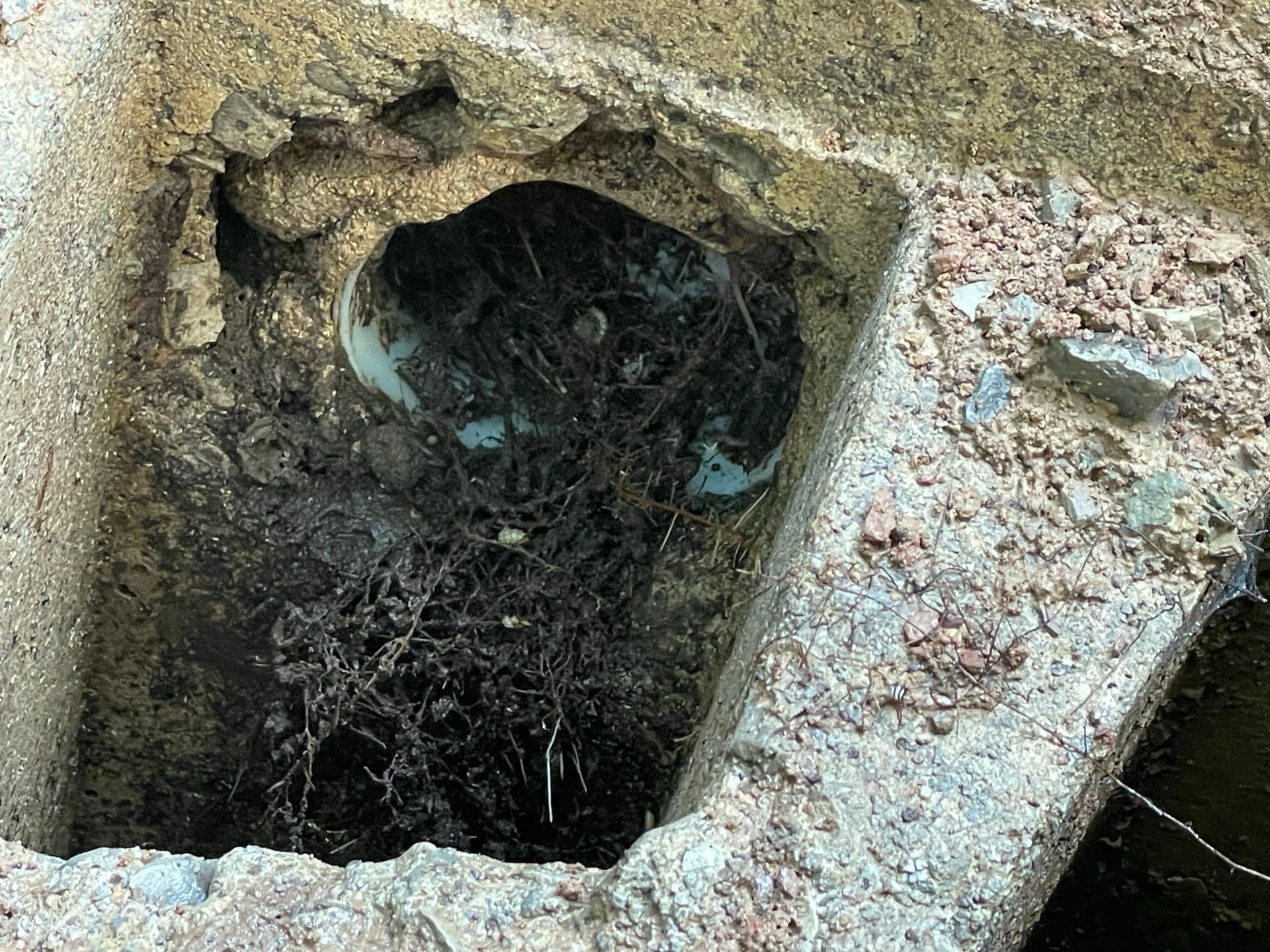 Concrete opening filled with a thick spiderweb.