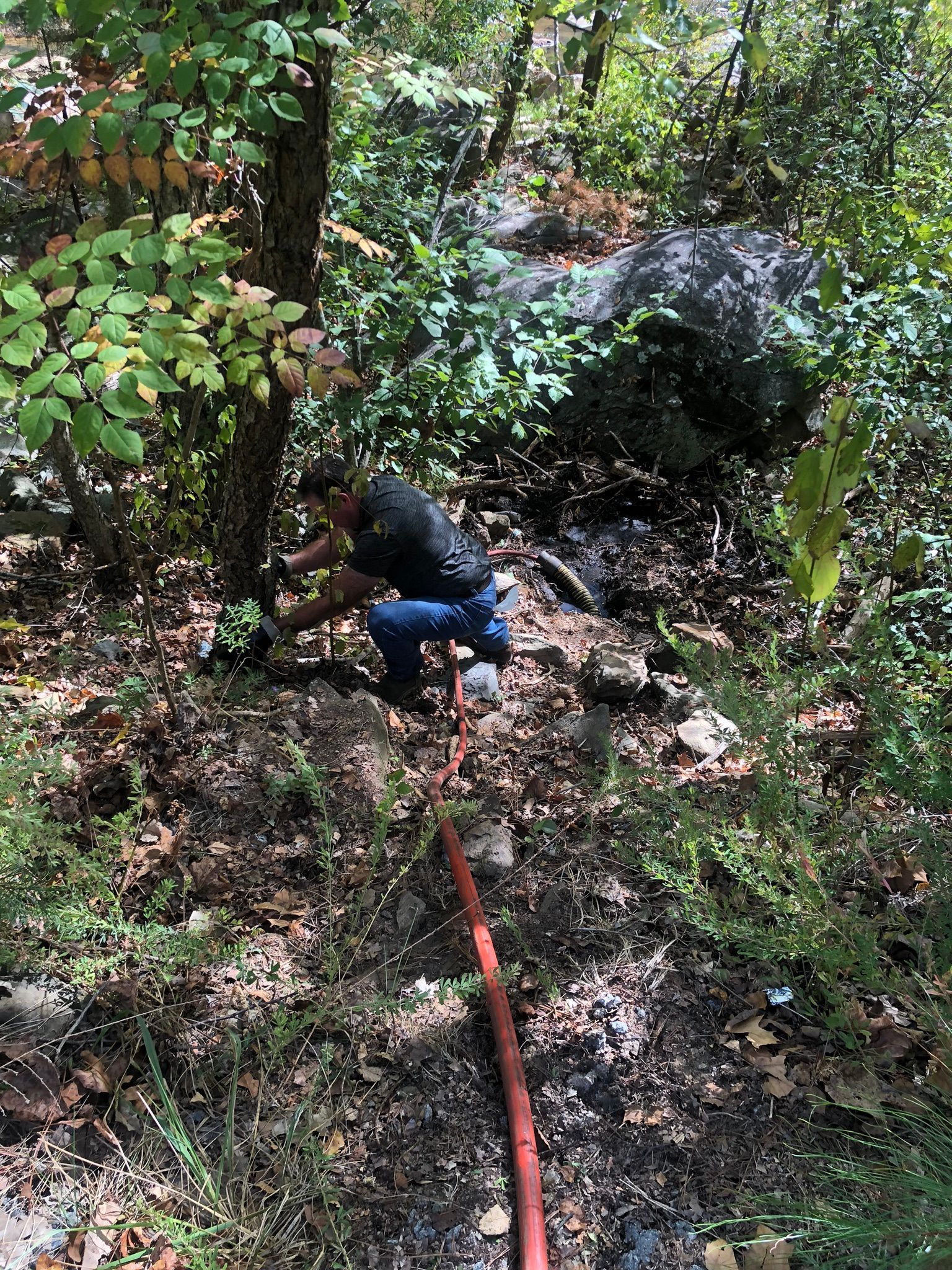 Person crouching near a tree, using a hose in a wooded area. Hose is red, ground is dirt and leaves.