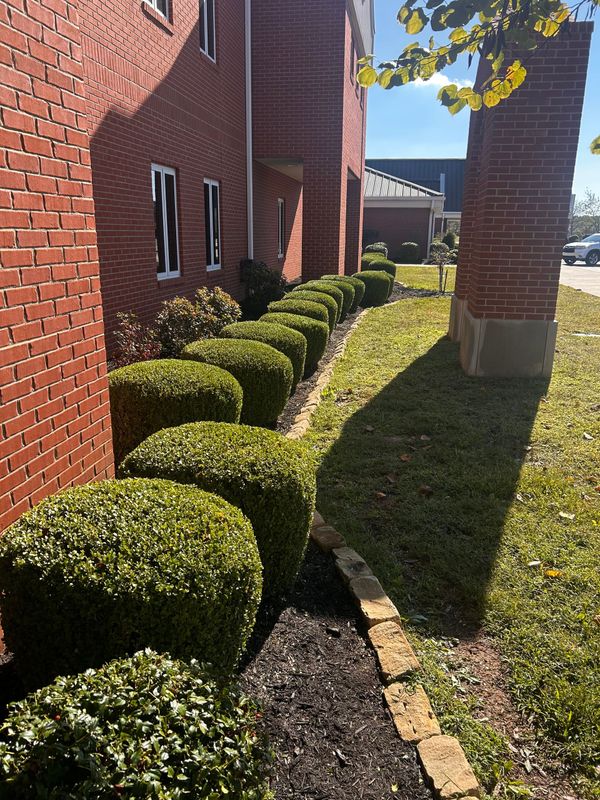 Stone retaining wall with steps leading up to a garden with green shrubs and grass.