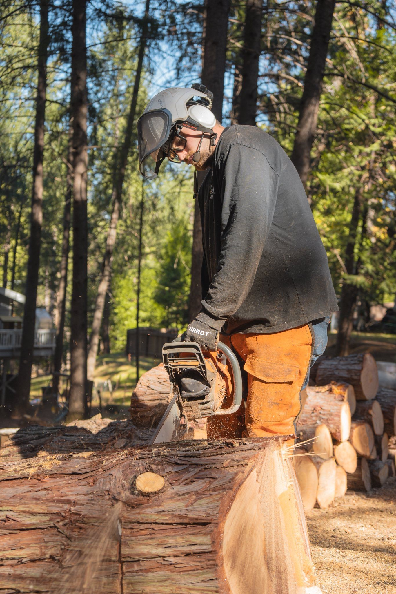 Placerville Tree Services