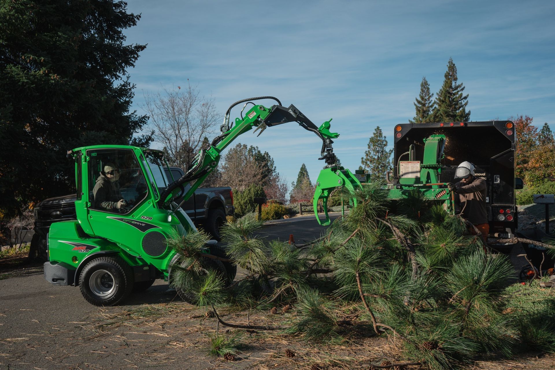 Placerville Tree Removal