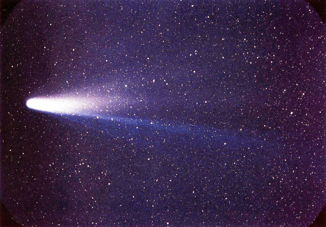 Haleja komēta