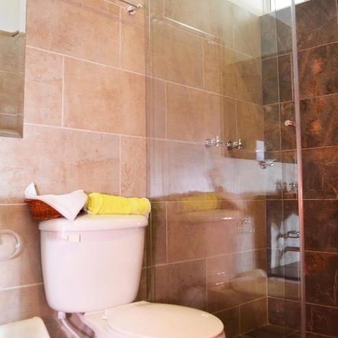 Un baño con inodoro y ducha con puerta de cristal.