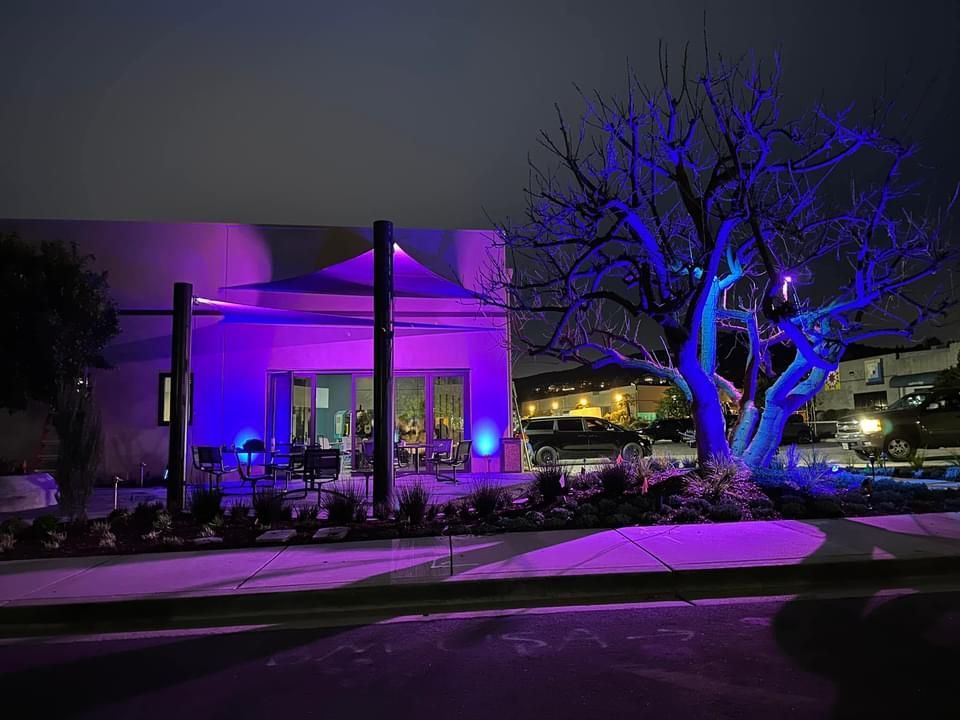 A building is lit up with purple lights and a tree is lit up with blue lights.