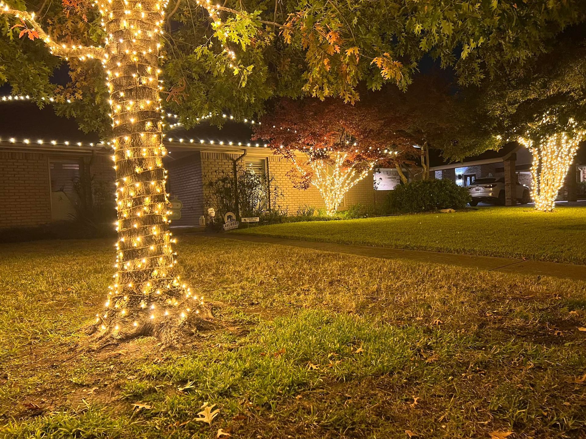 A tree is covered in christmas lights in front of a house.