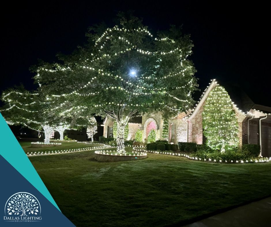 A house is decorated with christmas lights and trees