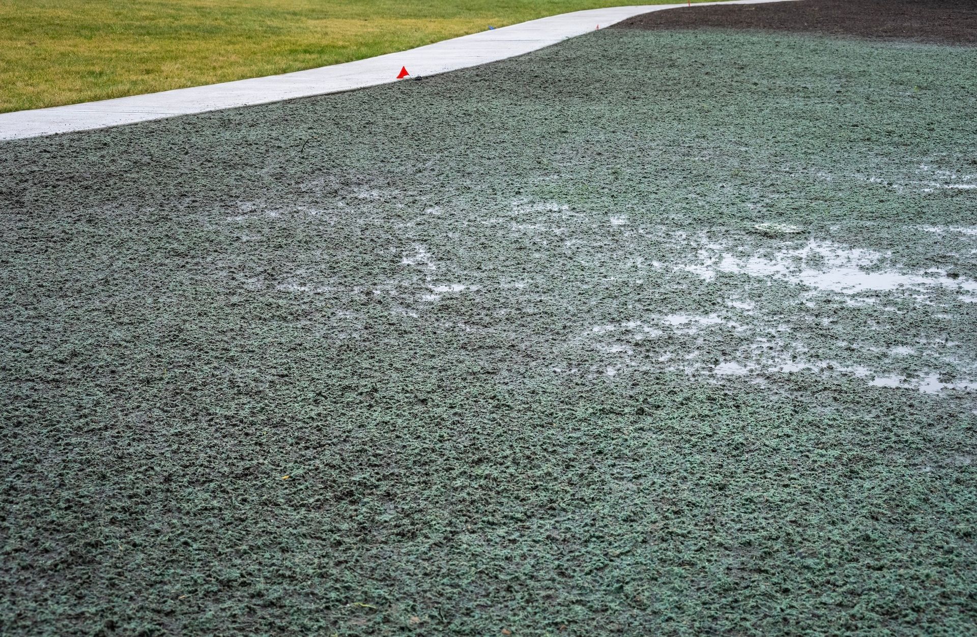 a concrete surface with a lot of small rocks on it .