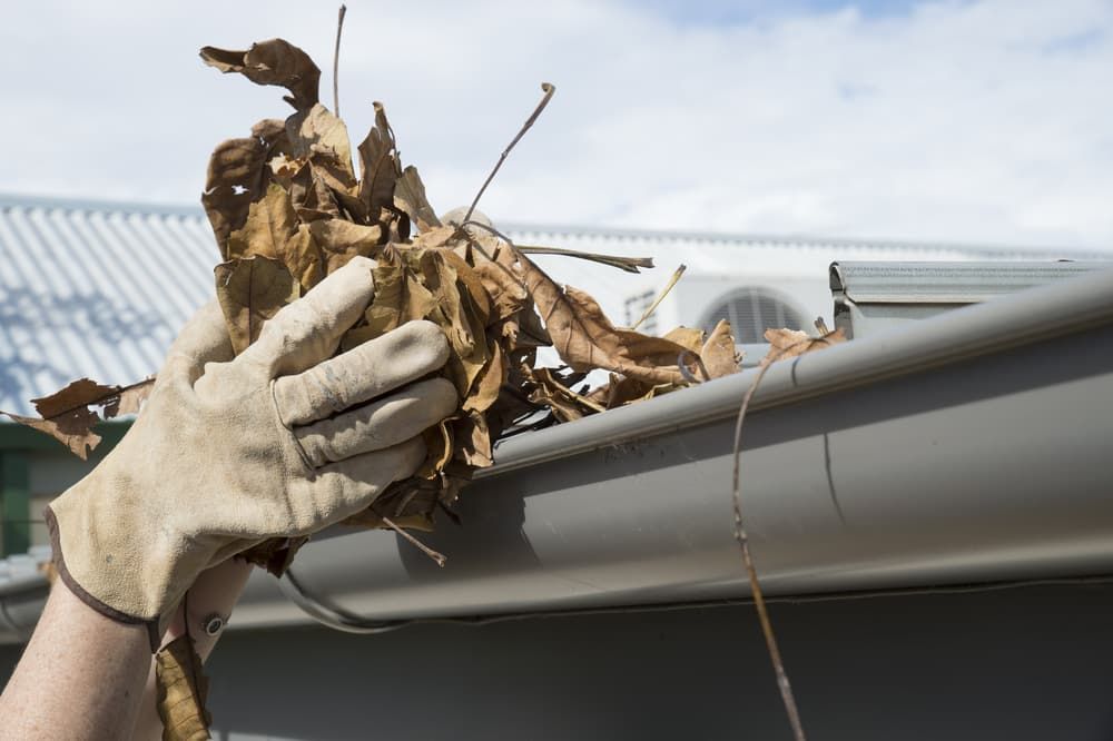 Gloved Hand Clearing Dry Leaves From a Gray Gutter on a House With a White Roof — Cleanaroo Services in Conder, ACT