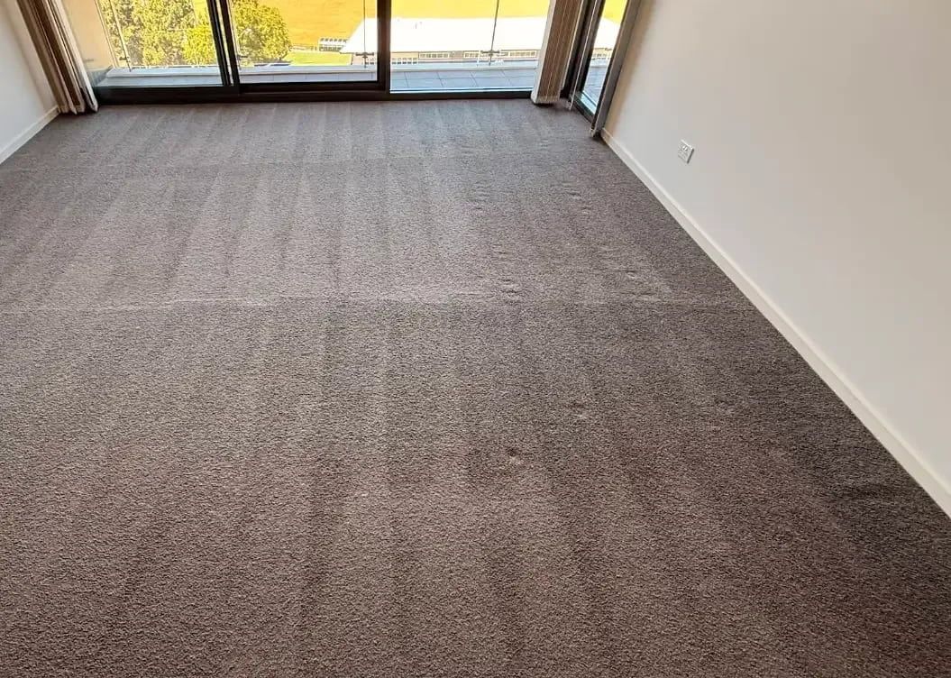 Brown Carpeted Floor in a Room With a Large Window and White Walls — Cleanaroo Services in Conder, ACT