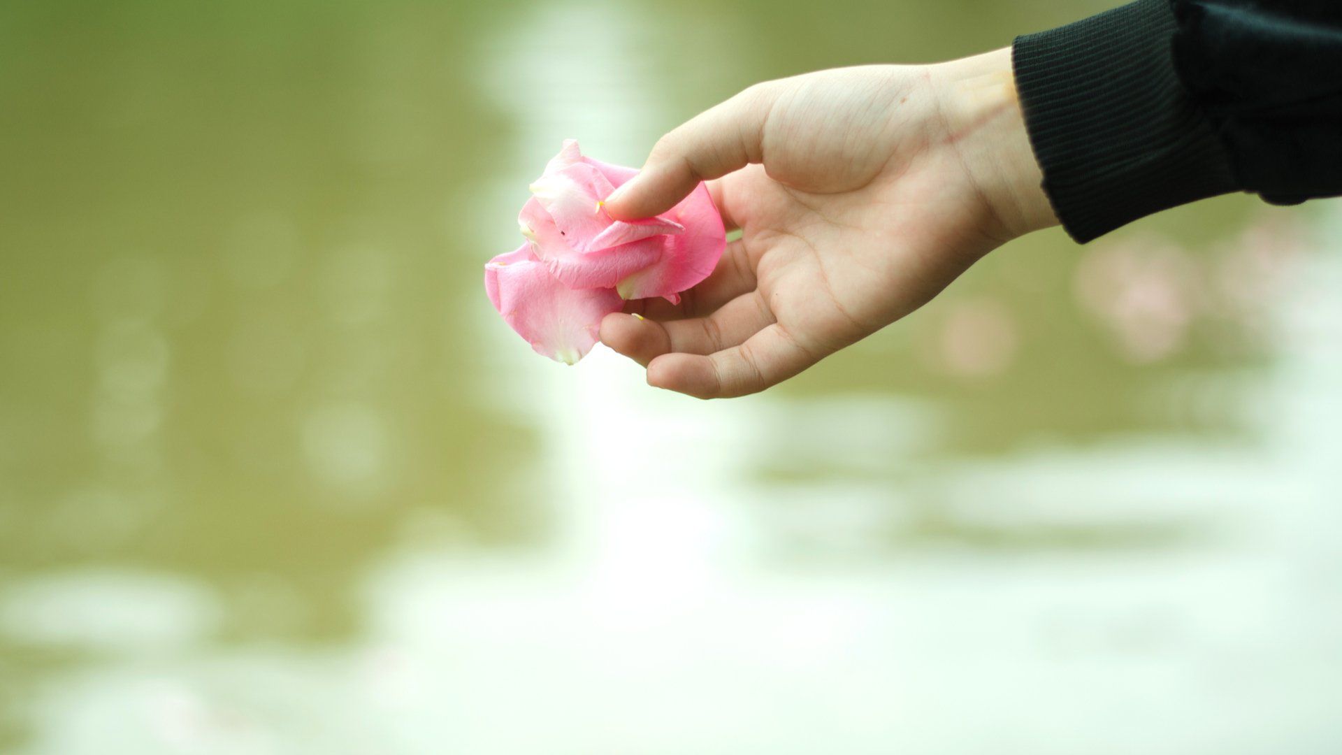 Scattering the Cremated Remains