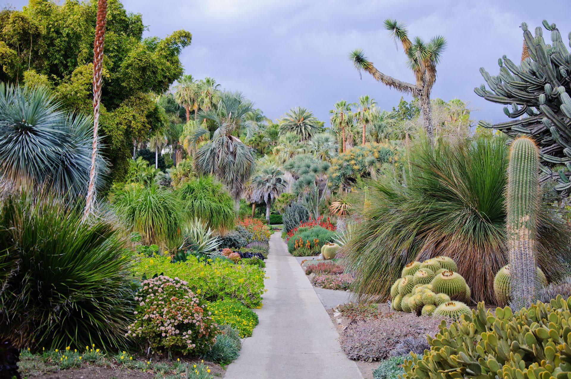 Xeriscaping