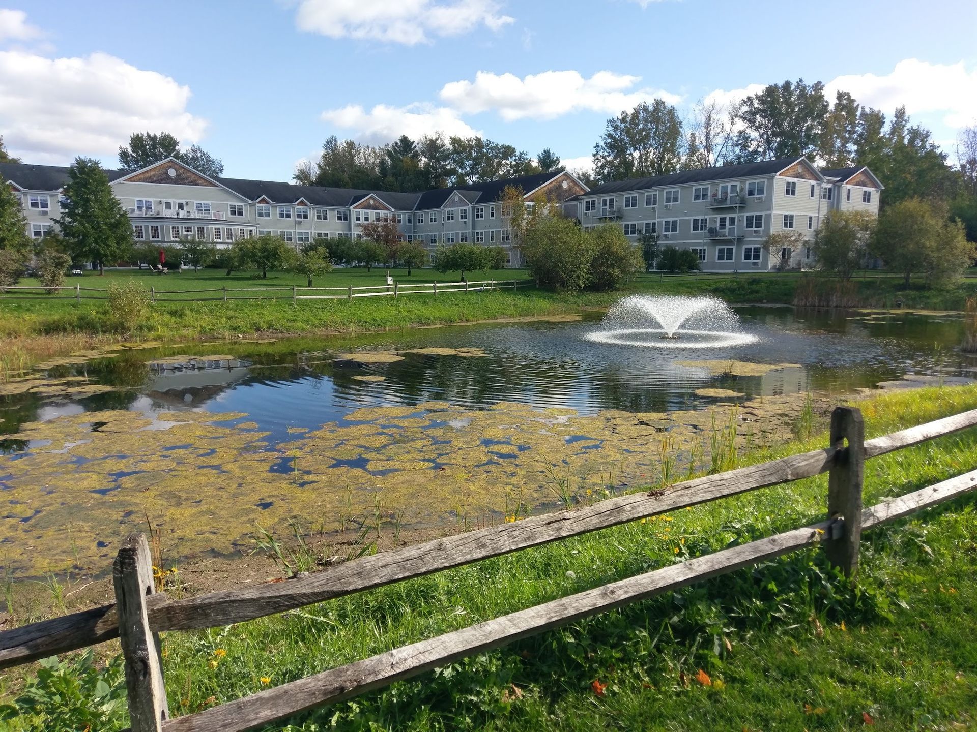 Professional Pond cleaning Montpelier VT