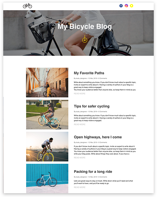 web design for bicycle shop