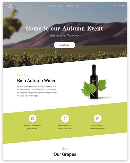 web design for winery