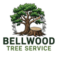 tree-service-bellwood-illinios