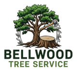 tree-service-bellwood-illinois