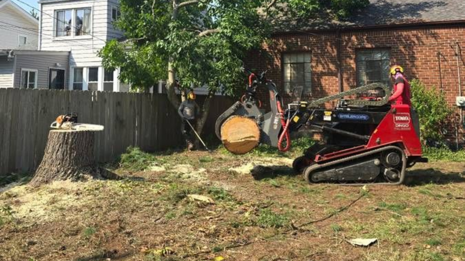 tree-service-bellwood-illinios