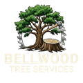 tree service in bellwood illinios
