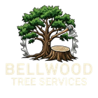 tree service in bellwood illinios