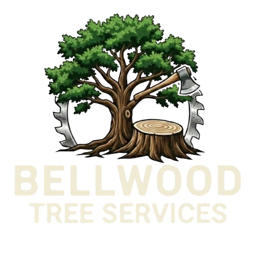 tree-service-bellwood-illinios