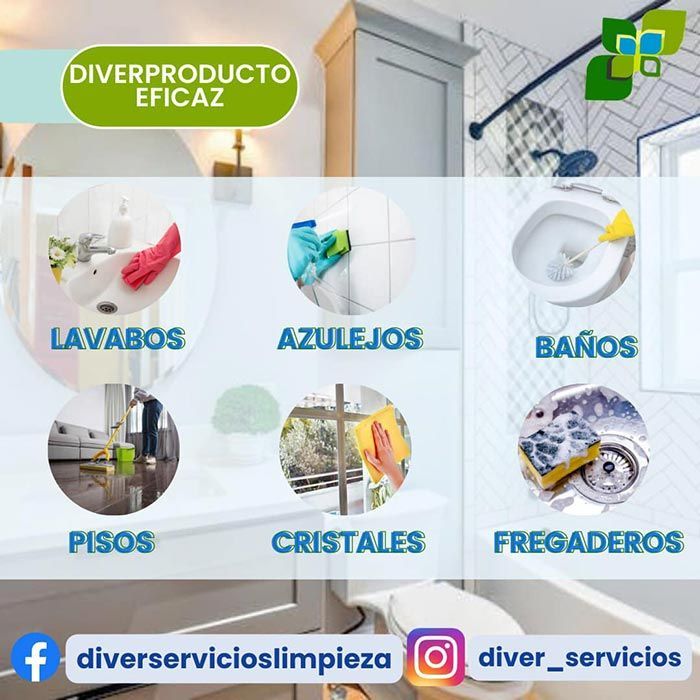 DIVERSERVICIOS