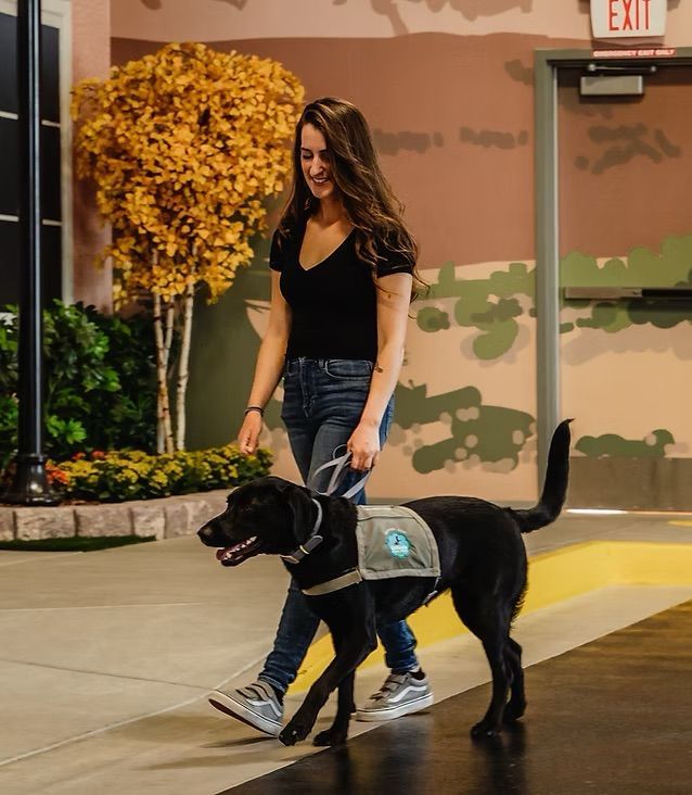 Michael's Angel Paws: Las Vegas Dog Training