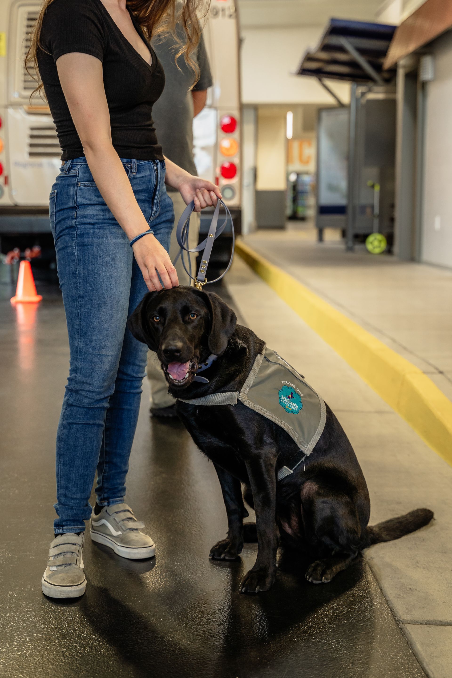 Debunking 6 Common Myths About Service Dogs