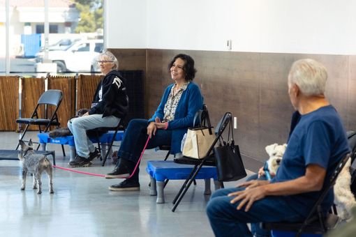 Three people sit on chairs with their dogs in an indoor training facility, with a red leash connecting to a small dog.