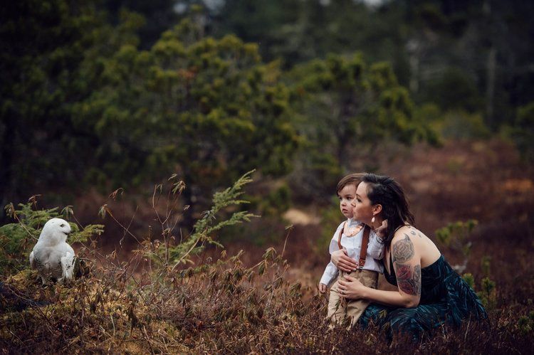 A woman and a child are sitting in a field looking at an owl.