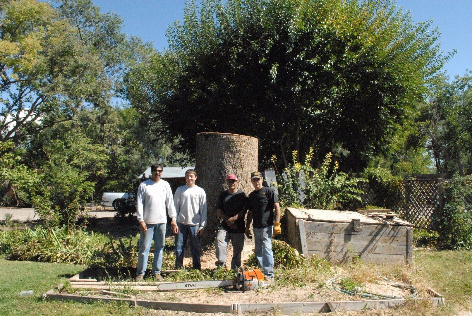 Tree Maintenance Albuquerque, Valencia, NM Tree Experts, LLC