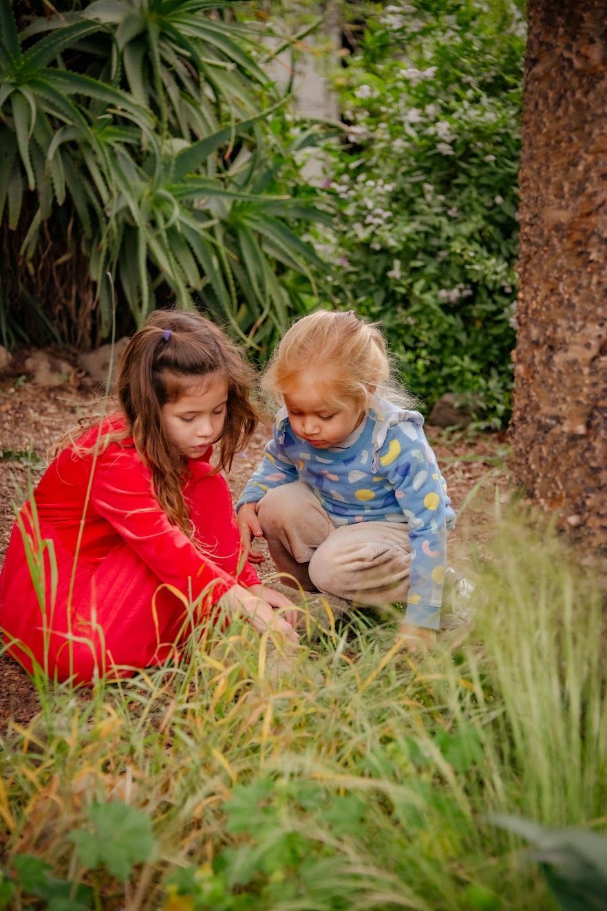 Montessori children are sitting in the grass looking at something.
