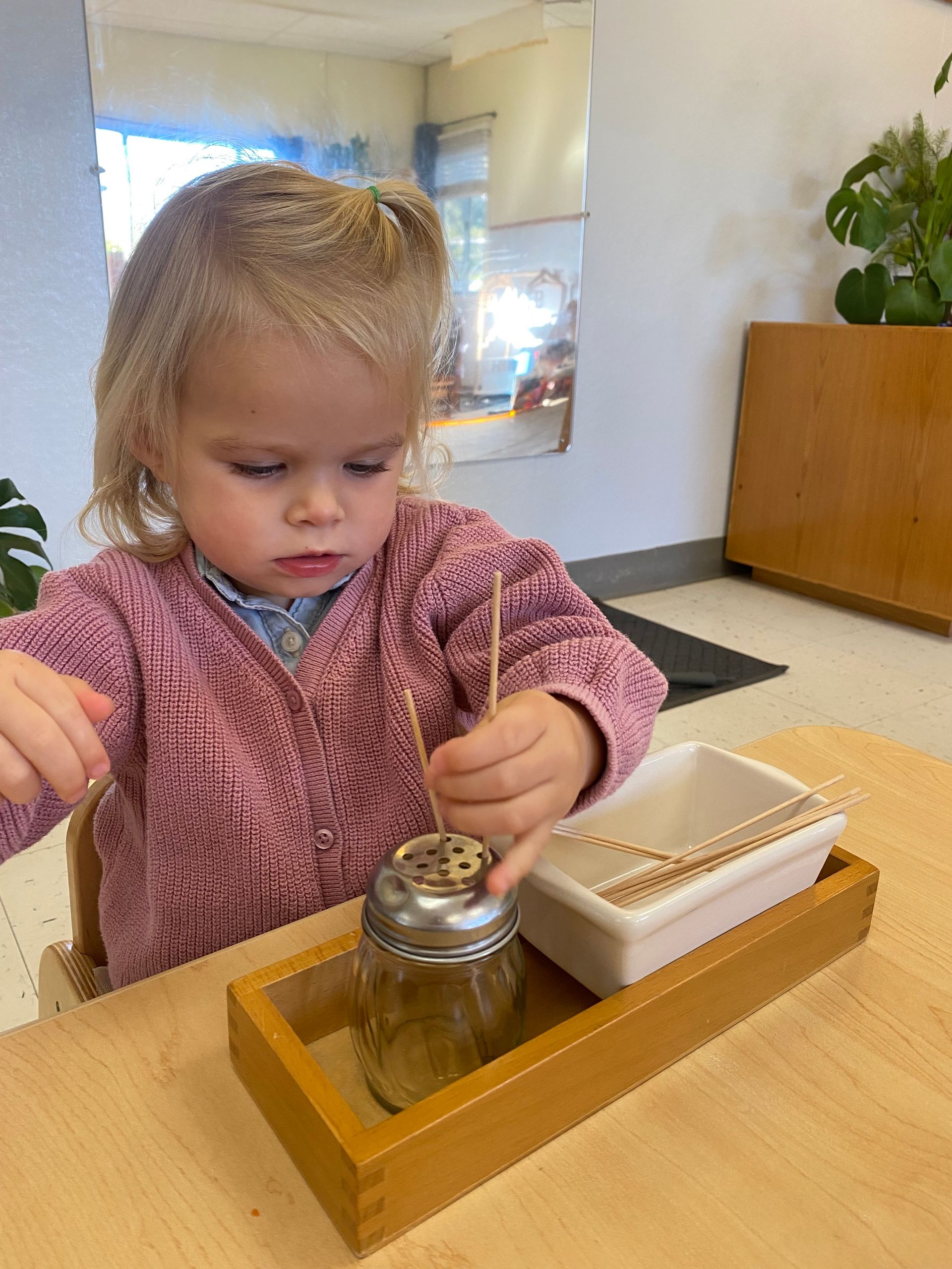 Montessori Toddler Program